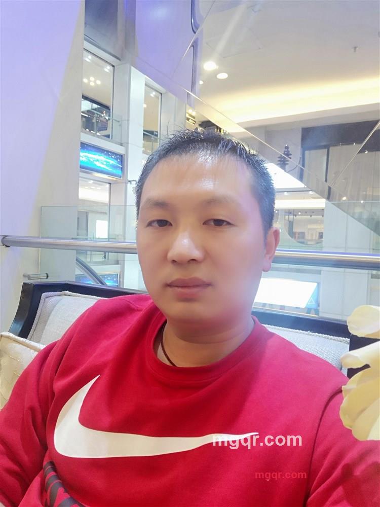 叶子飘飞的第1张照片