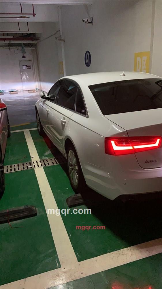 落花人独立。的第2张照片