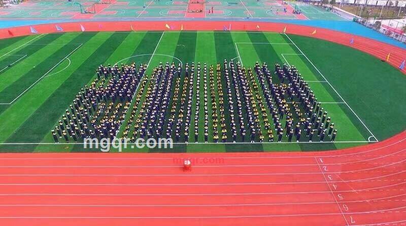 执着爱护的第2张照片