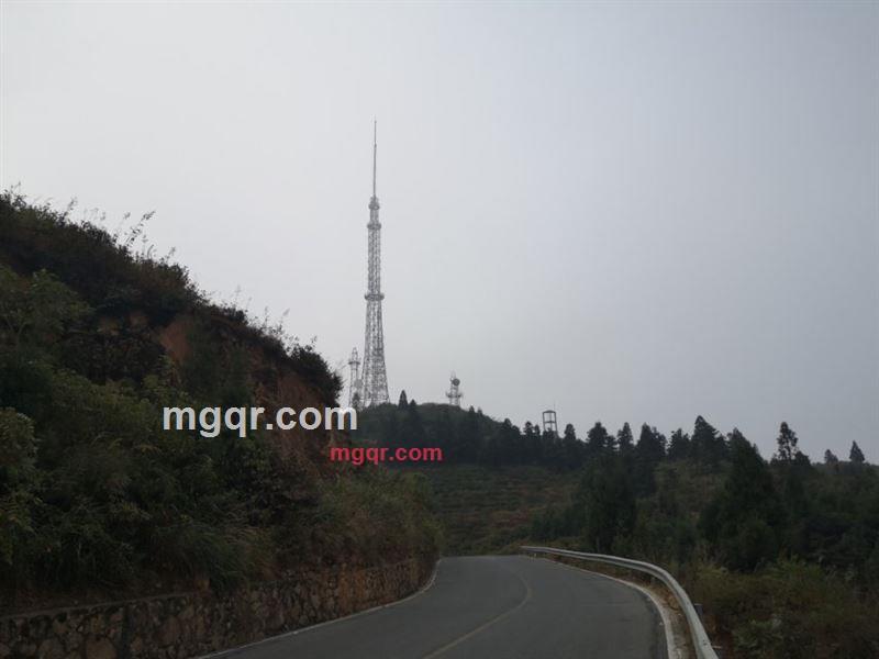 随风吹的第1张照片