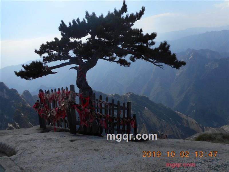 雪落风送秋的第1张照片