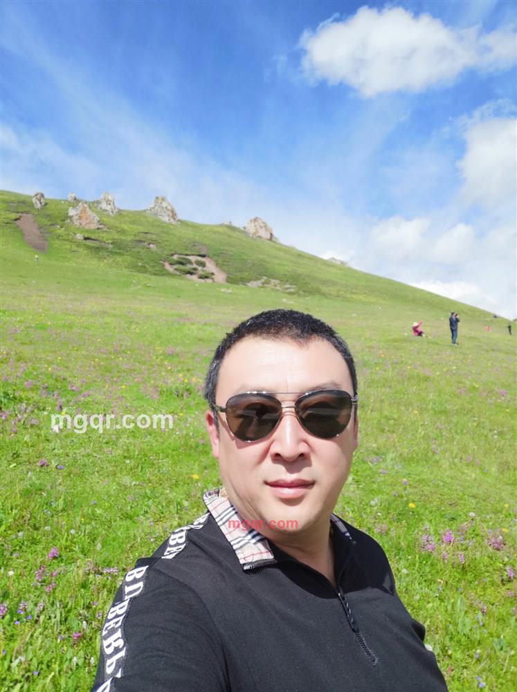 水树的第1张照片