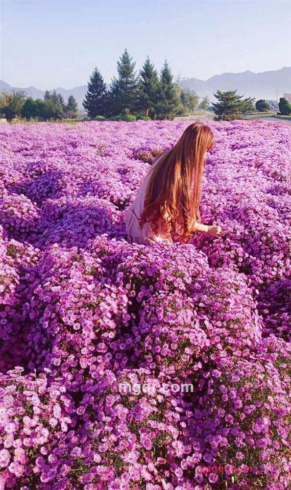 @凉情的第2张照片