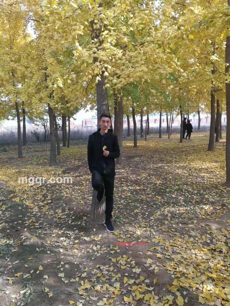 Ai沉醉的第1张照片