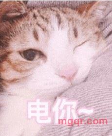 想要四爱的小熊??的第2张照片