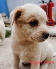 给我一支烟的第1张照片