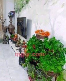 家国天下·大气人生的第6张照片