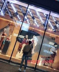 愚者的第2张照片