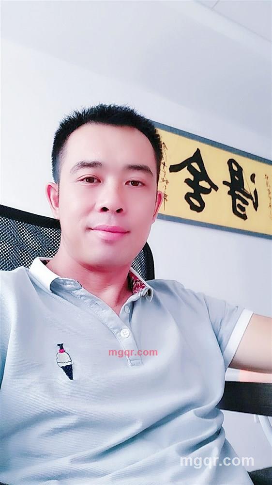 蓝色翅膀的黑蚂蚁的第4张照片