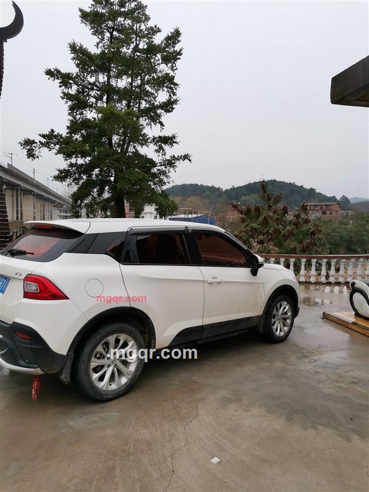 蓝色翅膀的黑蚂蚁的第1张照片