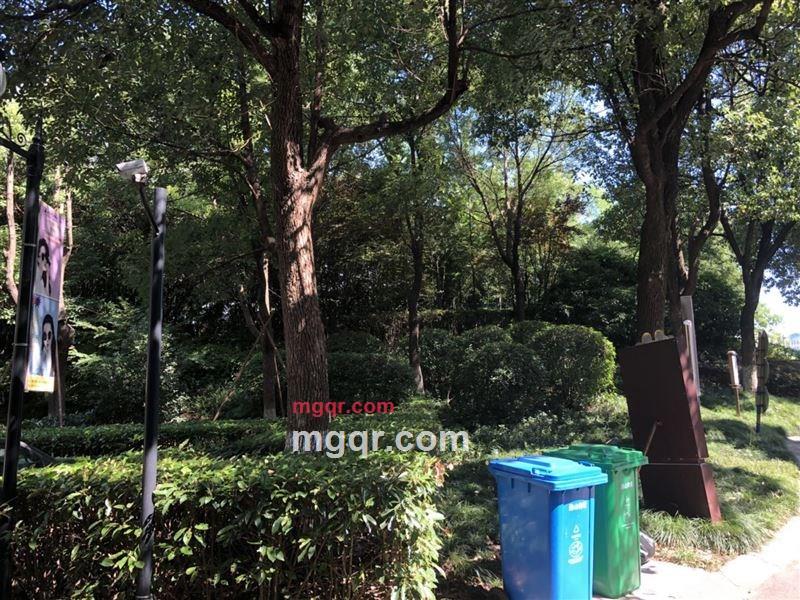 撑伞人的第1张照片