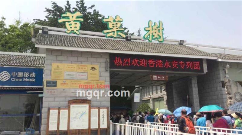 杰克逊的第8张照片