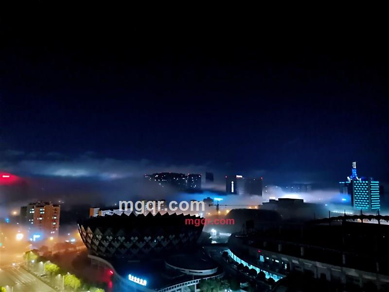 深山野马的第1张照片