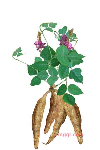 supman的第2张照片