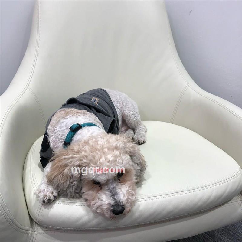 王秀英Wang Xiu Ying的第5张照片