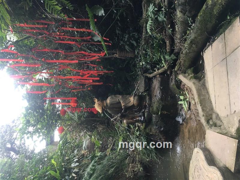 独孤一叶的第2张照片