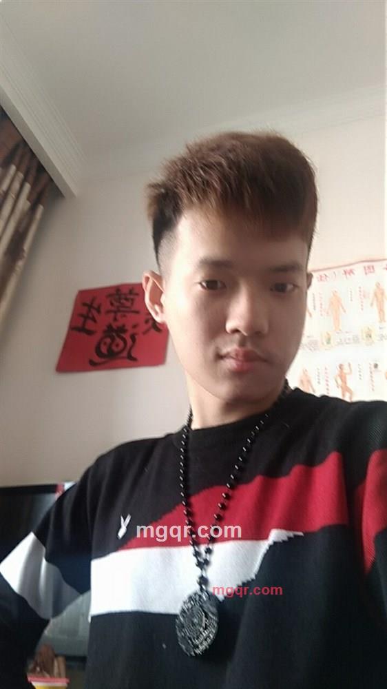 自由的风的第1张照片