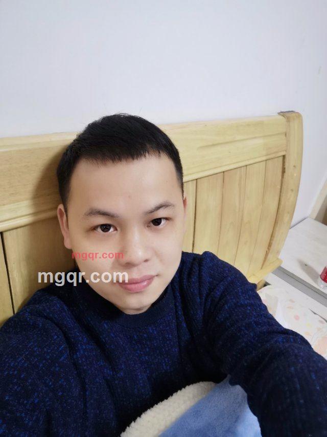 一只蚂蚁的第2张照片