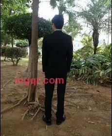 会飞的鱼的第2张照片