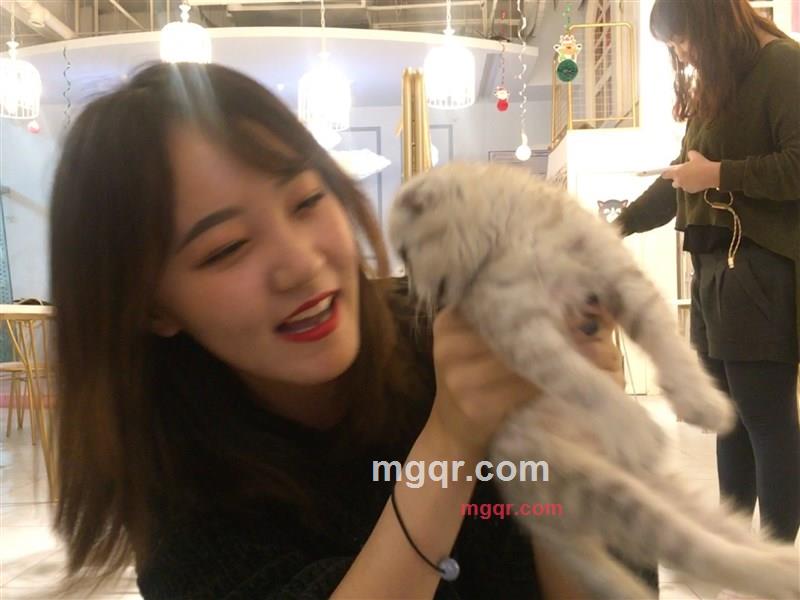 天下有情人的第1张照片