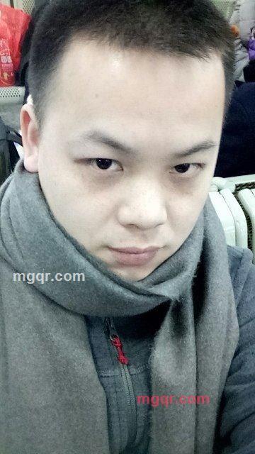 一只蚂蚁的第1张照片