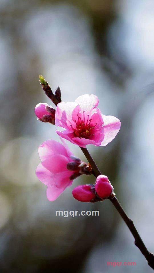 北冥有鱼的第1张照片