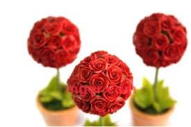 Larry4的第1张照片