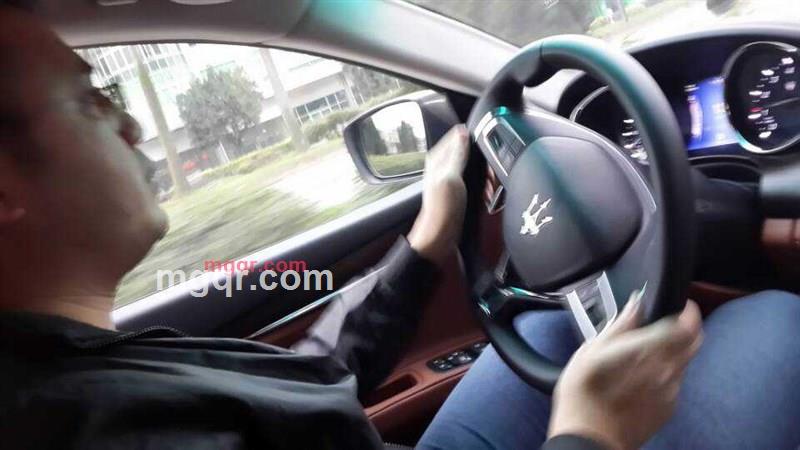 熊猫的第3张照片