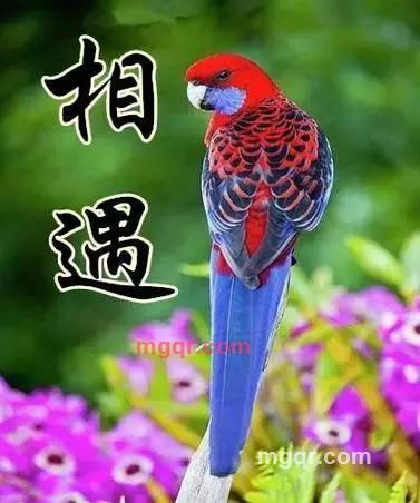 大兵哥哥的第2张照片