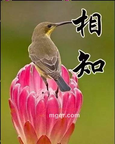 大兵哥哥的第1张照片