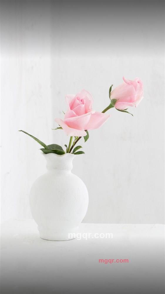 空了一半的第1张照片