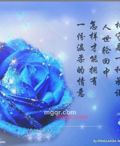 邂逅情缘的第3张照片