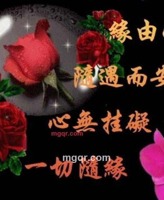 邂逅情缘的第2张照片