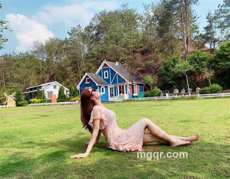 南方的燕子的第4张照片