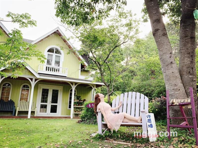 南方的燕子的第1张照片