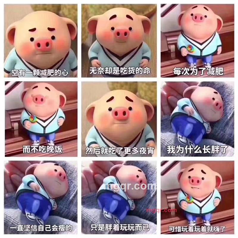 黏人的胖丸子的第1张照片