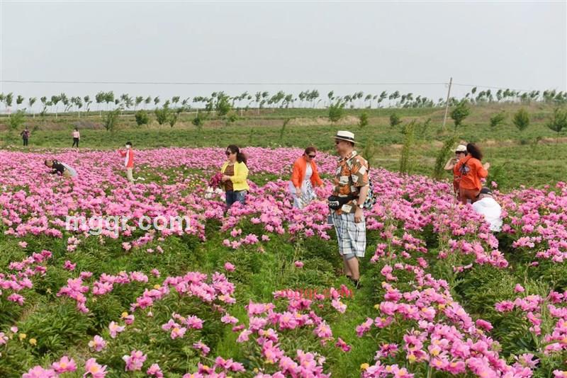 ajieke的第37张照片