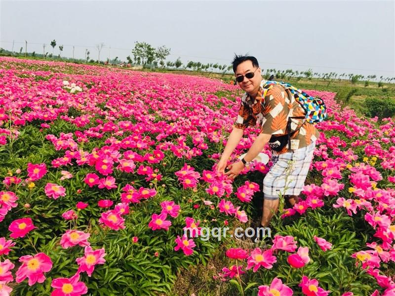 ajieke的第35张照片