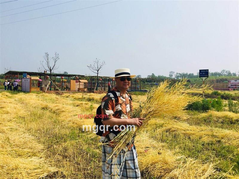 ajieke的第33张照片