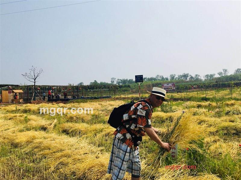 ajieke的第29张照片