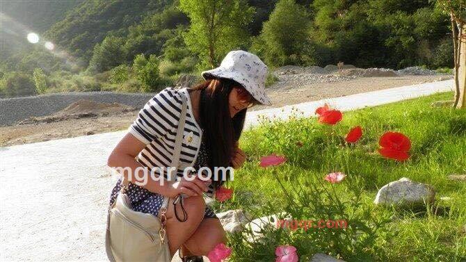 绣球的第4张照片