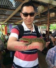 飞翔的槑子君的第3张照片