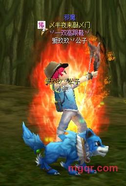 关中一族的第1张照片