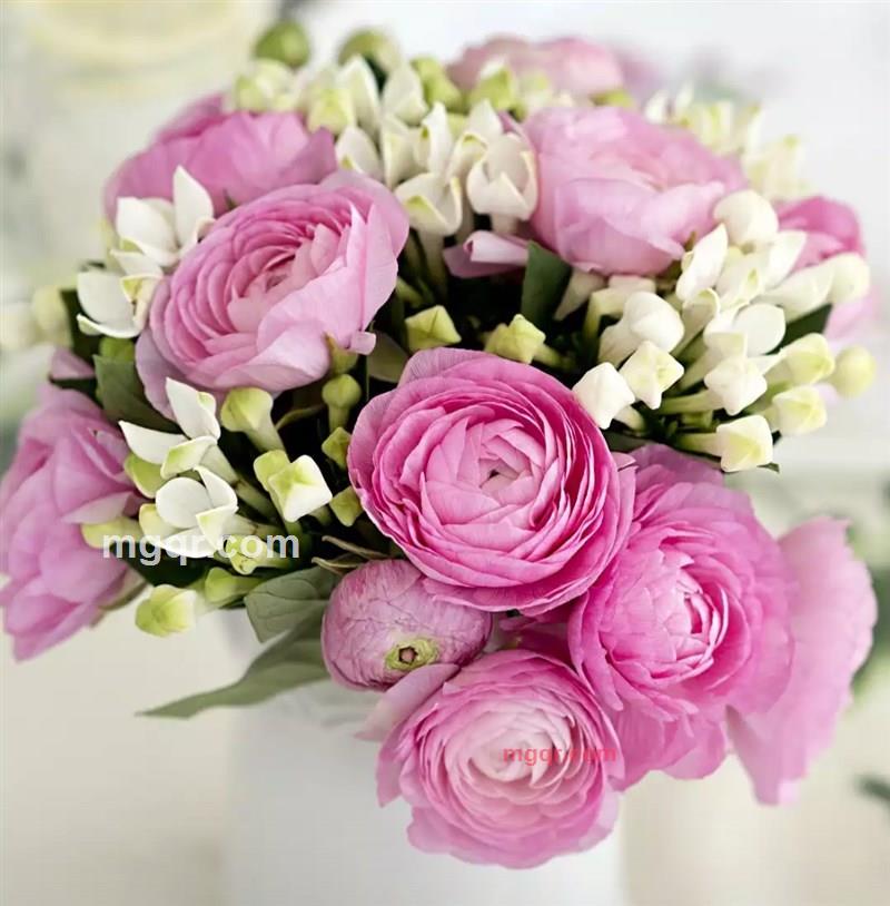 糖罂的第1张照片