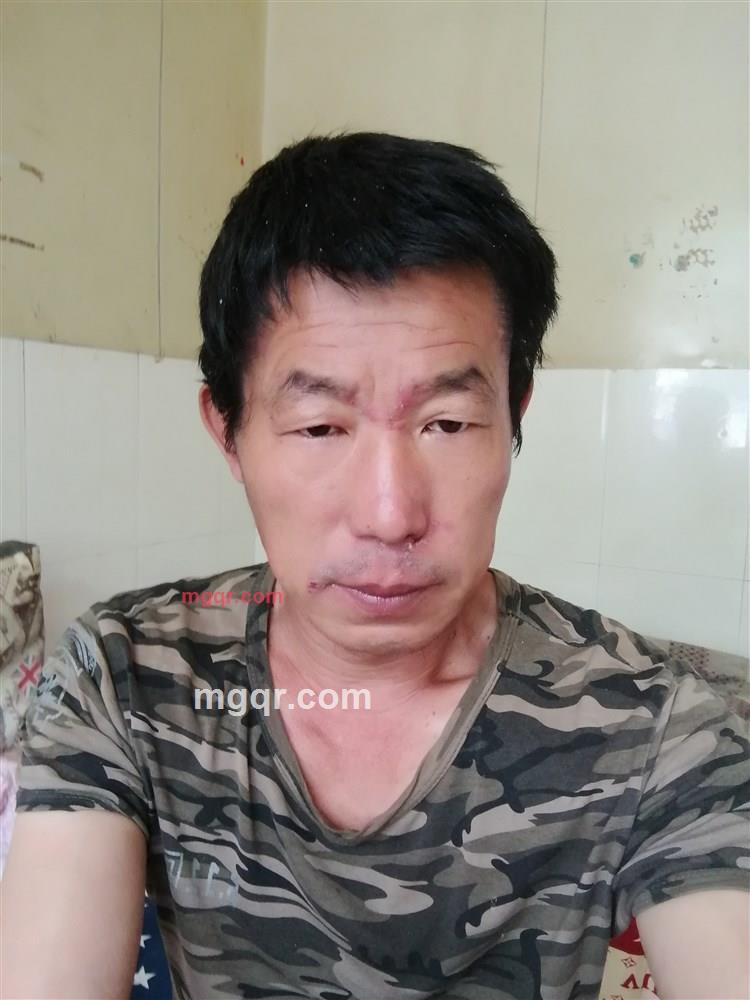 s狼行天下的第1张照片