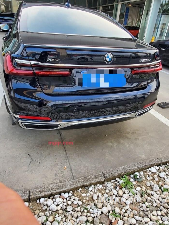 大大辛巴的第5张照片