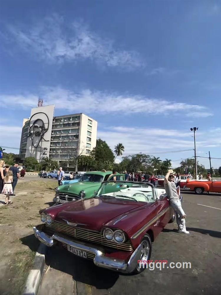 大大辛巴的第7张照片