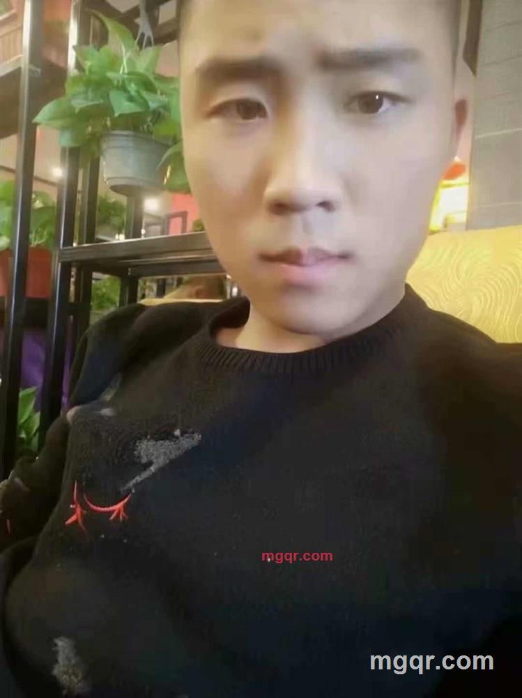 可小奶狗可小狼狗的第1张照片