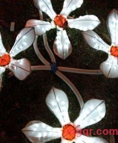 玫瑰香水的第2张照片