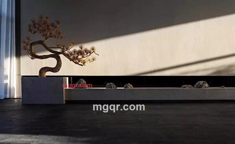 savanna的第1张照片